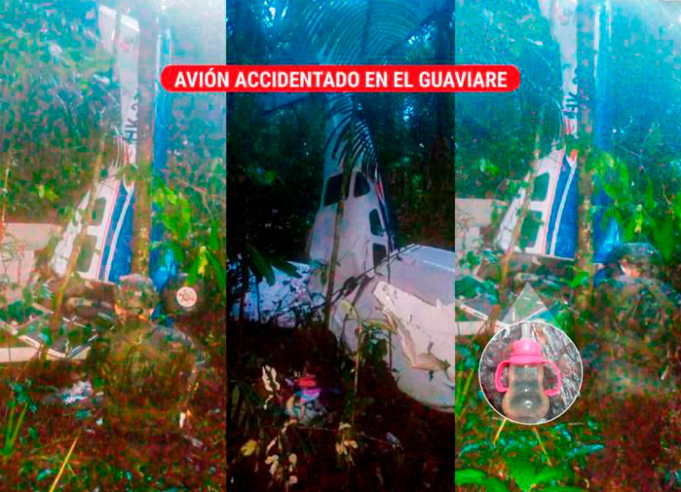 Des traces de vie autour de l'avion, dans un rayon de plusieurs dizaines de mètres