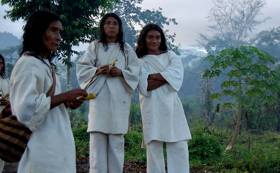 Kogi tenKogis tenant leurs poporos, objets rituels remis aux hommes pour marquer leur passage à l'âge adulte.