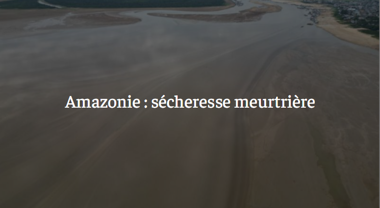 Amazonie