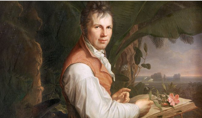Humboldt